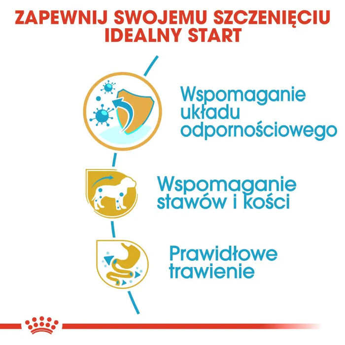 Food Royal Canin SHN Breed Dachshund Jun 1.5 kg - Dry foodDLP-KAS<<<For the dogDLP<<<ActionPL