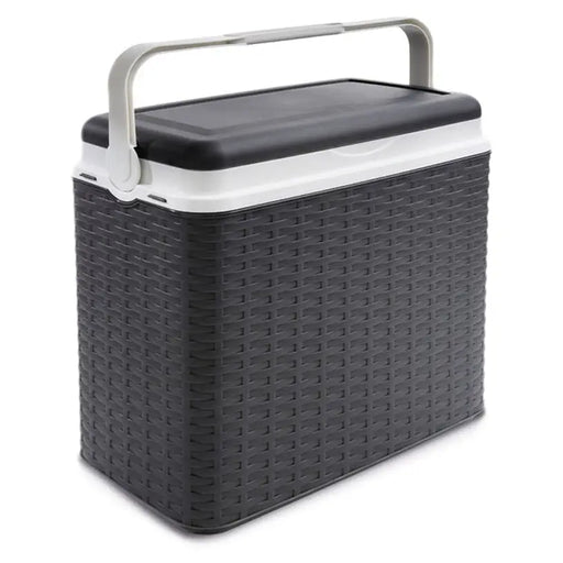 FRIDGE BOX 24L DECOR RATTAN ADRIATIC VARIOUS 24.00 L - Хладилни кутии<<<Къмпинг<<<Градина<<<Praktiker&&&Охладители<<<За