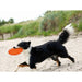 Frisbee Trixie TPR Ø 18 cm - Домашни Животни<<<Дом Градина<<<BigBuy&&&Играчки<<<Домашни Животни<<<Дом Градина<<<BigBuy
