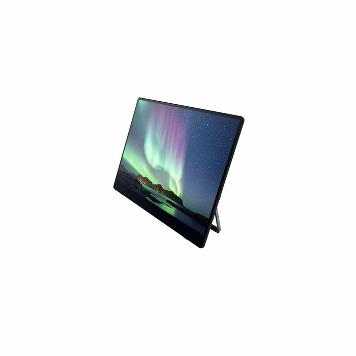 Portable touch monitor RICOH 150BW, OLED, 15.6", 715 g, USB-C, Li-Ion 3740mAh