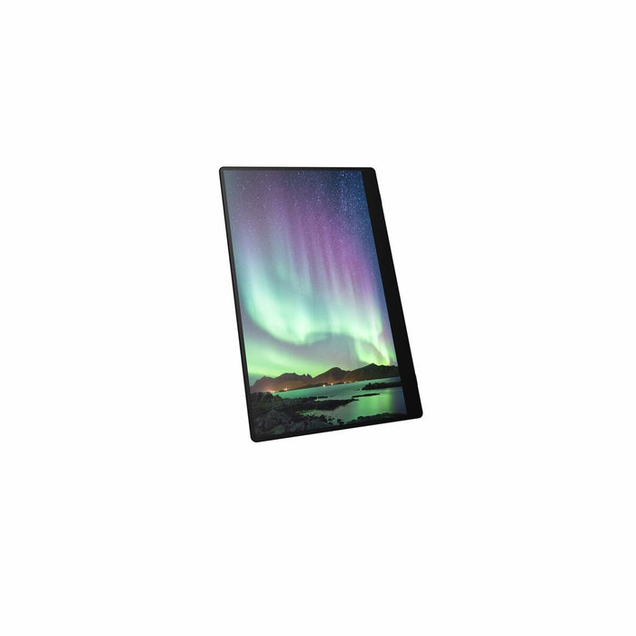 Portable touch monitor RICOH 150BW, OLED, 15.6", 715 g, USB-C, Li-Ion 3740mAh