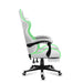 Gaming Chair Huzaro FORCE 4.7 RGB White - Аксесоари за Игри<<<Компютър Игри<<<Компютри| Електроника<<<BigBuy&&&Gaming