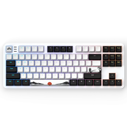 Gaming Mechanical Keyboard Dark Project 87 Fuji V2 RGB TKL - G3MS Sapphire Switches ABS - Геймърски