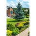 GARDEN SPACE SEPIO GARDEN 5000 - Простори и сушилници<<<Домашни потреби<<<Кухня<<<Praktiker