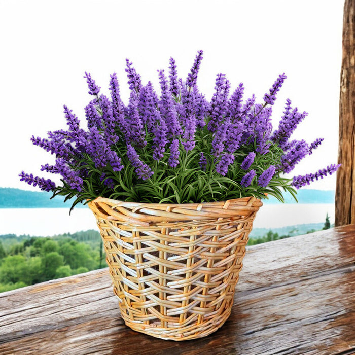 WICKED BASKET M 23X26CM GARDEN STAR HD-10875-M