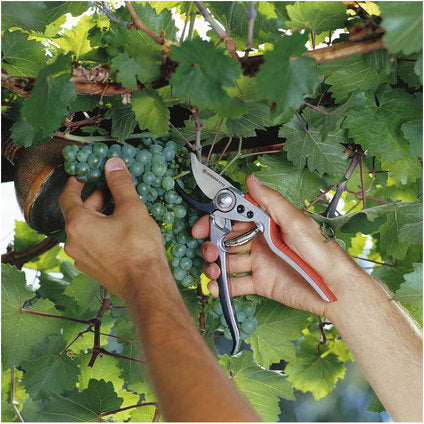 GARDENA SHEARS BP50