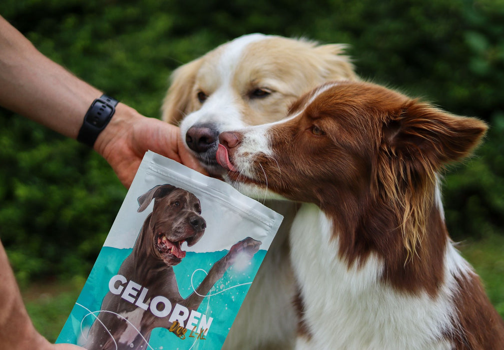 GELOREN Large dog Joints - dog vitamins - 420g