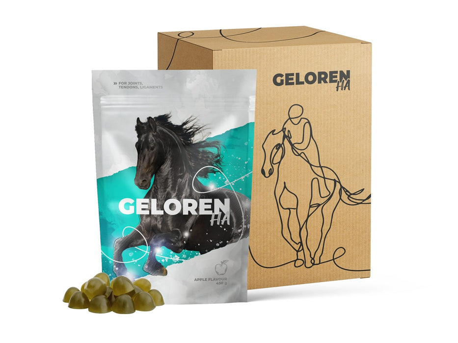 GELOREN Horse HA Joints - vitamins for horses - 450g
