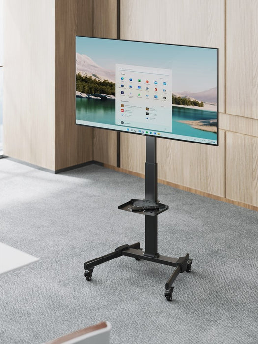 Gembird TVS-55T-01 TV floor stand with caster wheels (tilt), 32" - 55", black