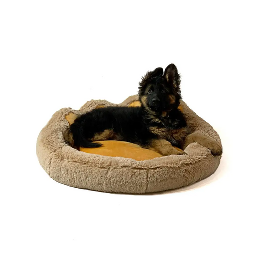 GO GIFT Dog and cat bed XL - camel - 75x75 cm - To sleep (universal)DLZ-DSU<<<For petsDLZ<<<ActionPL