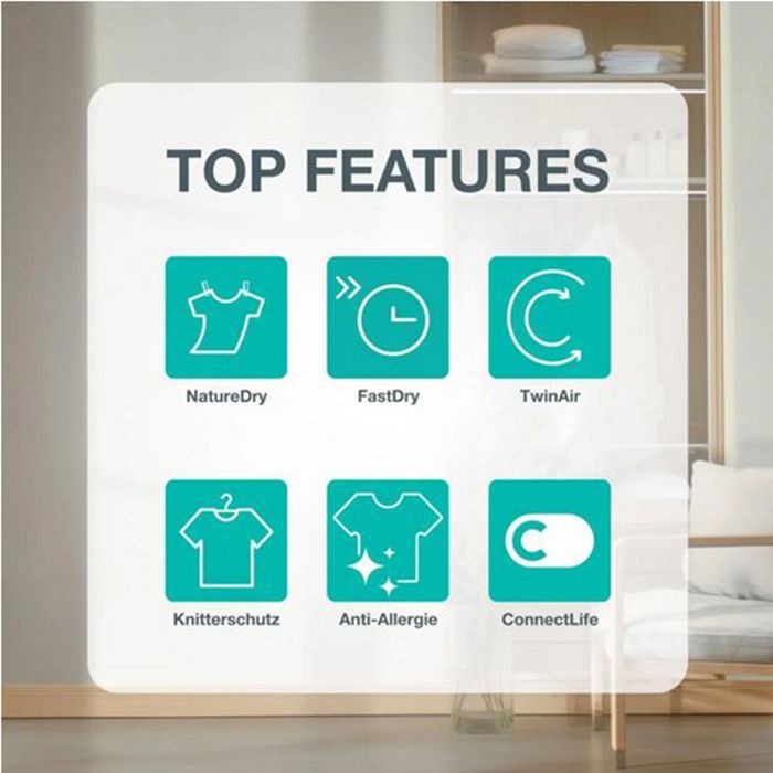 Dryer GORENJE DG49CP, 9 kg, Heat pump, Wi-Fi