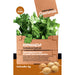 GOURMET CORIANDER SEEDS - Семена<<<Семена луковици и разсад<<<Градина<<<Praktiker
