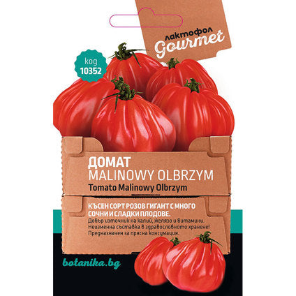 TOMATO SEEDS MALINOWY OLBRZYM GOURMET
