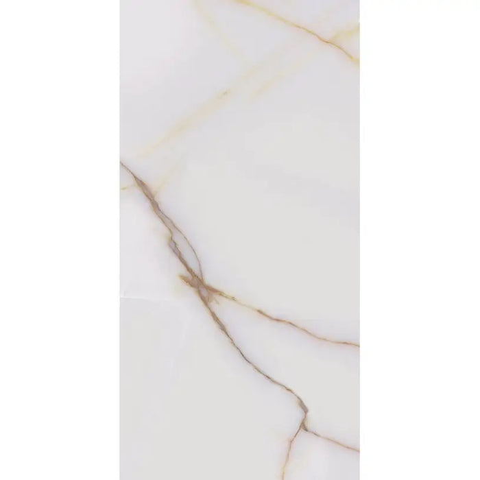 GRANITOGRES STAR GRES ICON POLISHED 60X120 CM - Гранитогрес<<<Плочки и лайстни<<<Подови и стенни