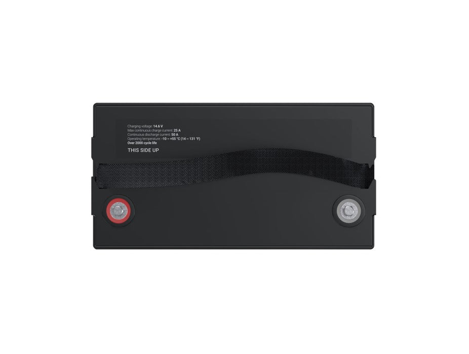 Green Cell LFPGC12V100AH UPS battery Lithium Iron Phosphate (LiFePO4) 12.8 V 100 Ah