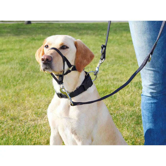 Guide harness for dog Trixie Top Trainer Black L - Домашни Животни<<<Дом Градина<<<BigBuy&&&Пътуване и