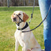 Guide harness for dog Trixie Top Trainer Black M - Домашни Животни<<<Дом Градина<<<BigBuy&&&Пътуване и