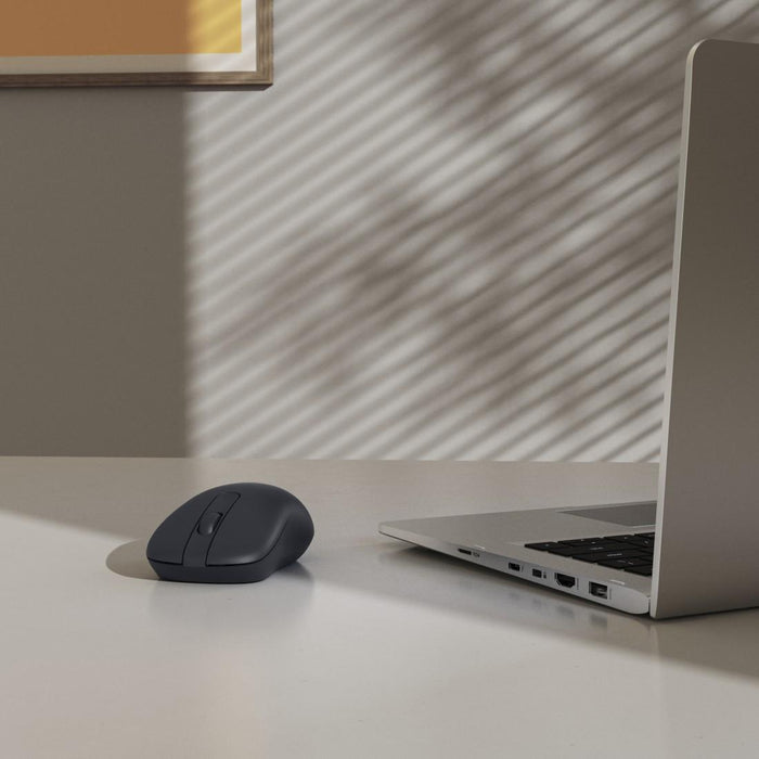 HAMA Wireless optical mouse WM-100, 3 buttons, black