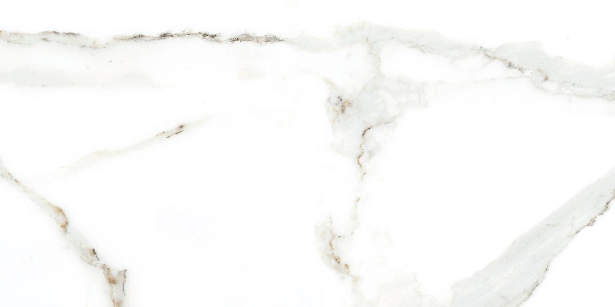 WALL TILE 25X50 DELPHI WHITE