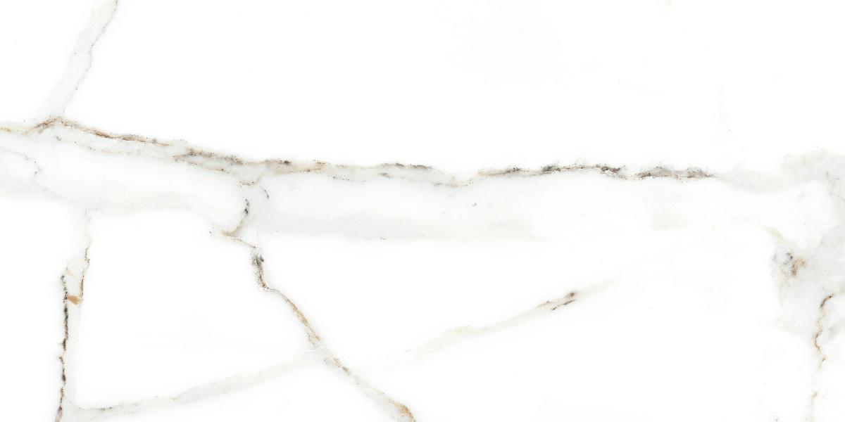 WALL TILE 25X50 DELPHI WHITE