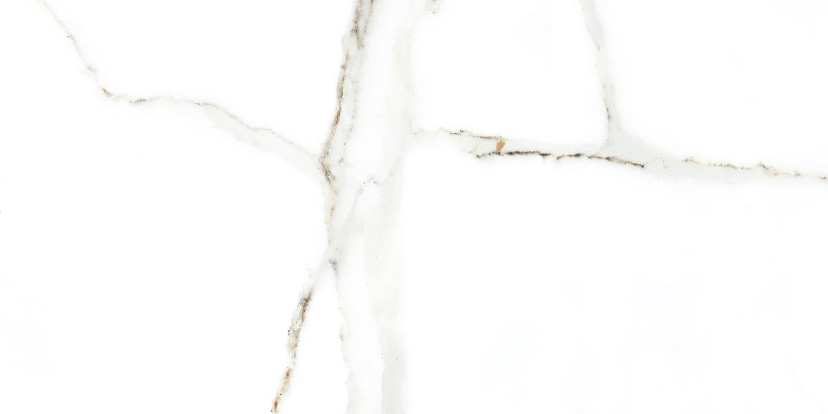 WALL TILE 25X50 DELPHI WHITE