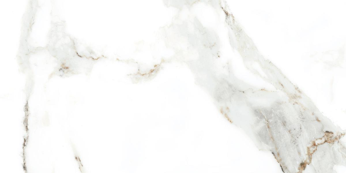 WALL TILE 25X50 DELPHI WHITE