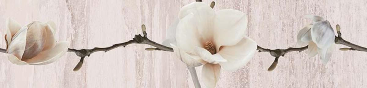 FRIGE 6X25 PASTEL MAGNOLIA LIGHT BEIGE