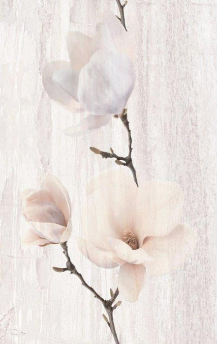 DECOR 25x40 PASTEL MAGNOLIA ST.BEJOVA