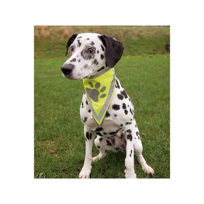 Handkerchief Trixie - Домашни Животни<<<Дом Градина<<<BigBuy&&&Пътуване и разходки<<<Домашни Животни<<<Дом