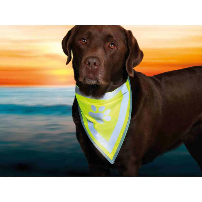 Handkerchief Trixie - Домашни Животни<<<Дом Градина<<<BigBuy&&&Пътуване и разходки<<<Домашни Животни<<<Дом