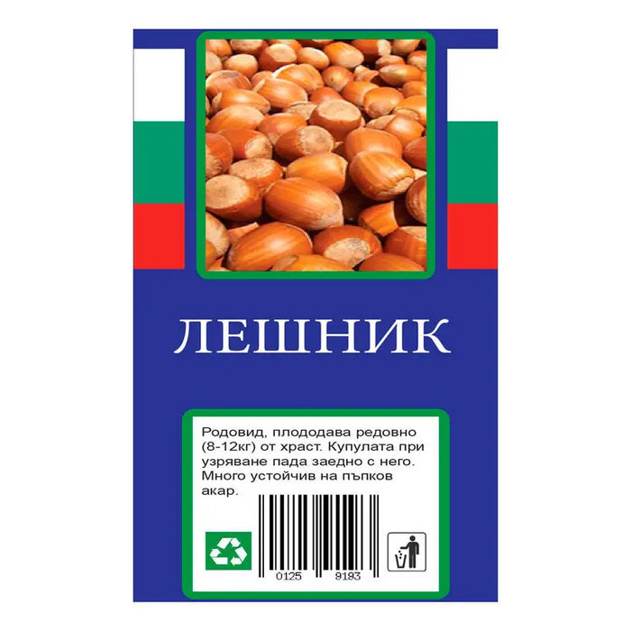 HAZELNUT WITH PACKAGED ROOT - Овошки<<<Външни растения<<<Градина<<<Praktiker