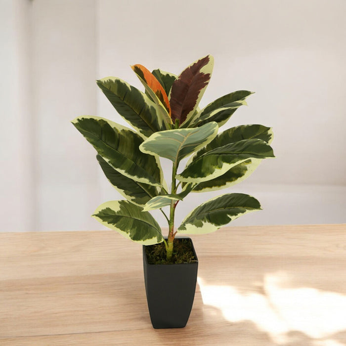 ARTIFICIAL PLANT AGLAONEMA 60CM HD HD-10976
