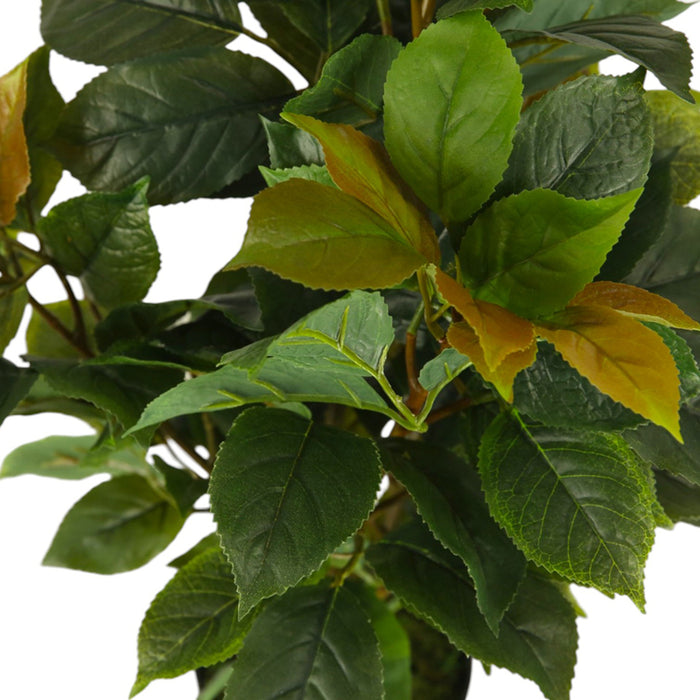 ARTIFICIAL FICUS PLANT 65CM HD HD-10982
