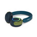 Headphones Philips TAK4200CT/00 Azul,Verde - Електроника Периферни и резервни части<<<Компютри|