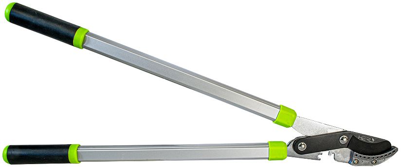 GARDEN SHEARS FOR BRANCHES HERLY