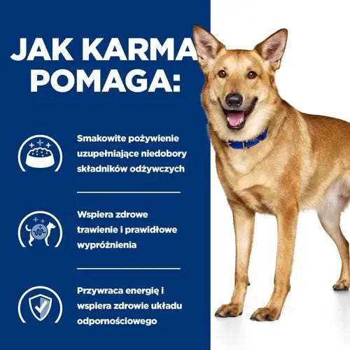 HILL’S PD Canine Digestive Care Low Fat i/d Stew - Wet dog food - 354 g - Wet foodDLP-KAM<<<For the dogDLP<<<ActionPL