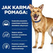 HILL’S PD Canine Digestive Care Low Fat i/d Stew - Wet dog food - 354 g - Wet foodDLP-KAM<<<For the dogDLP<<<ActionPL