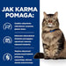 HILL’S PD Gastrointestinal Biome - dry cat food - 1,5 kg - Dry foodDLK-KAS<<<For the catDLK<<<ActionPL