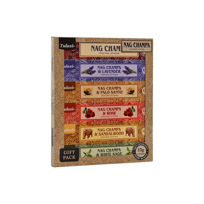 Incense Home ESPRIT (72 Pieces)