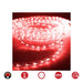 Hose LED EDM 72718 Flexiled Red - Декорация и Осветление<<<Дом Градина<<<BigBuy&&&LED Осветление<<<Декорация и