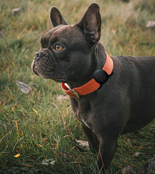 Apple AirTag Silicone Case for Dog or Cat Collar - Black