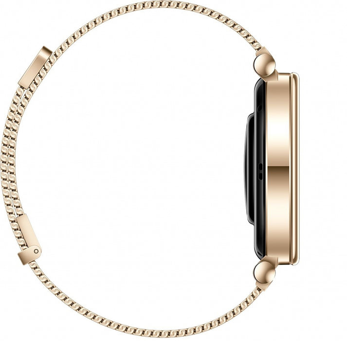 Huawei GT4 Aurora-B19M Milanese Smart Watch