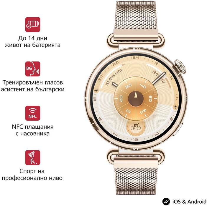 Smart watch Huawei Watch GT6, Konsu-B19M Millanese