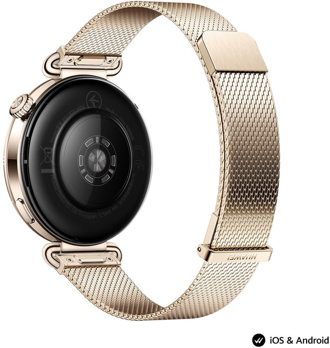 Smart watch Huawei Watch GT6, Konsu-B19M Millanese
