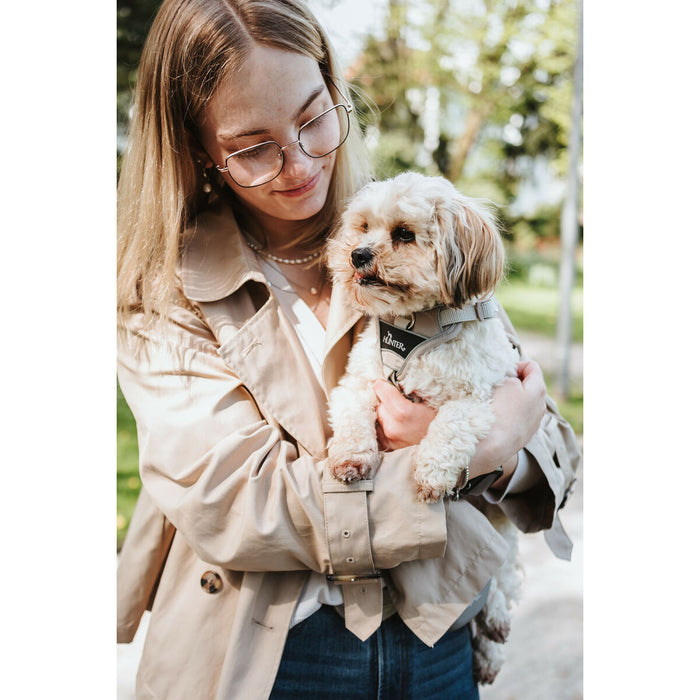 Dog Harness Hunter DIVO UP Beige L