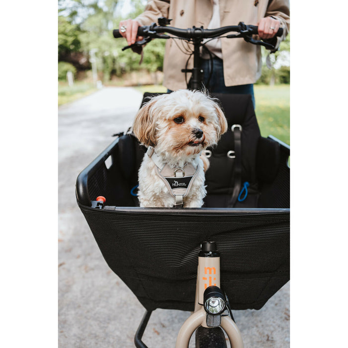 Dog Harness Hunter DIVO UP Beige L/XL