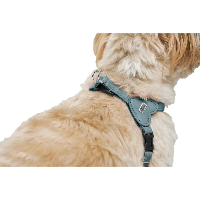 Dog Harness Hunter SOHO MINI Blue XXS/XS
