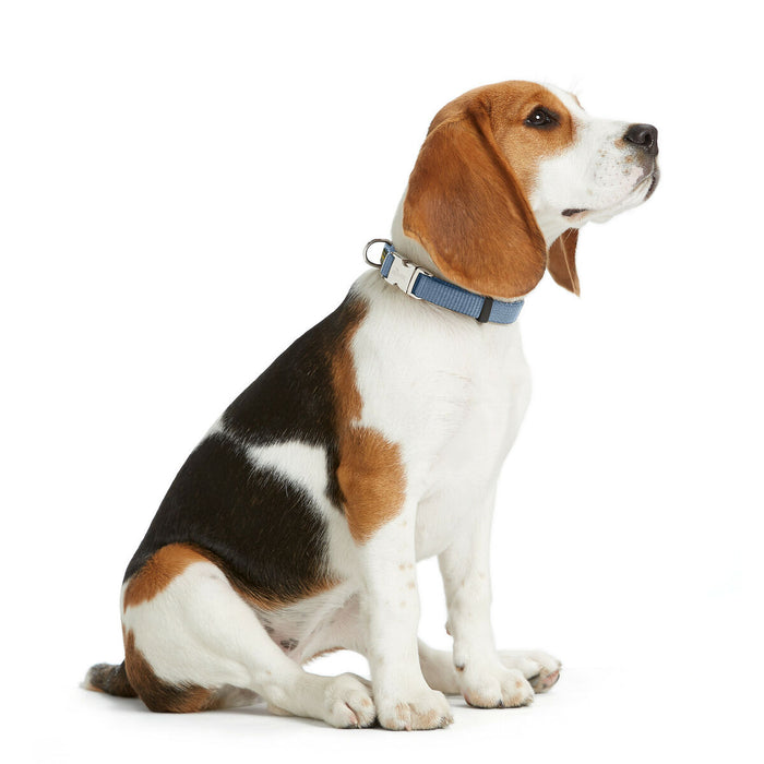 Dog collar Hunter VARIO BASIC Blue M 30-45 cm