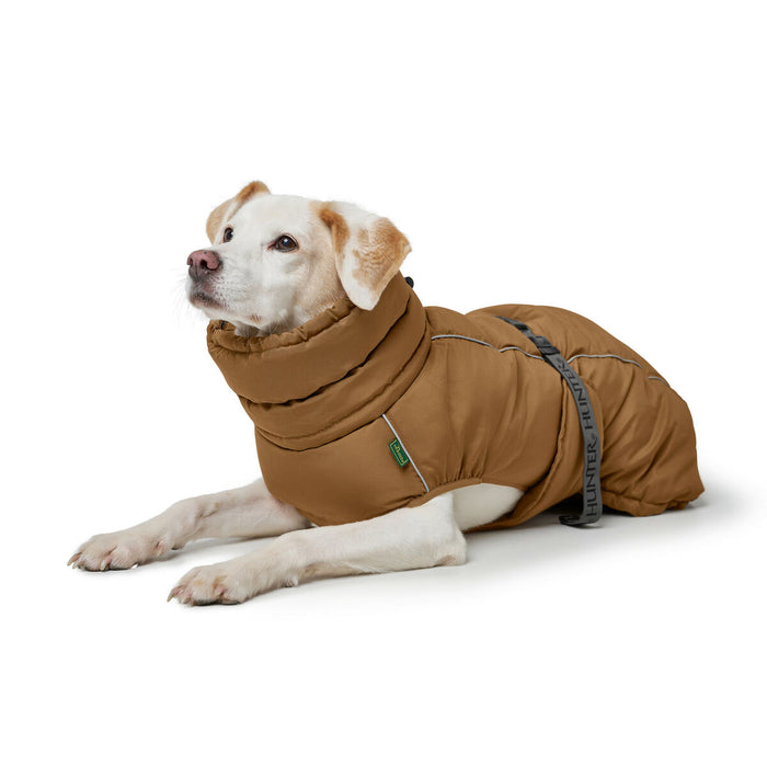 Pet's clothing Hunter PAXSON Brown Polyester