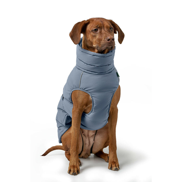 Pet's clothing Hunter PAXSON Blue Polyester